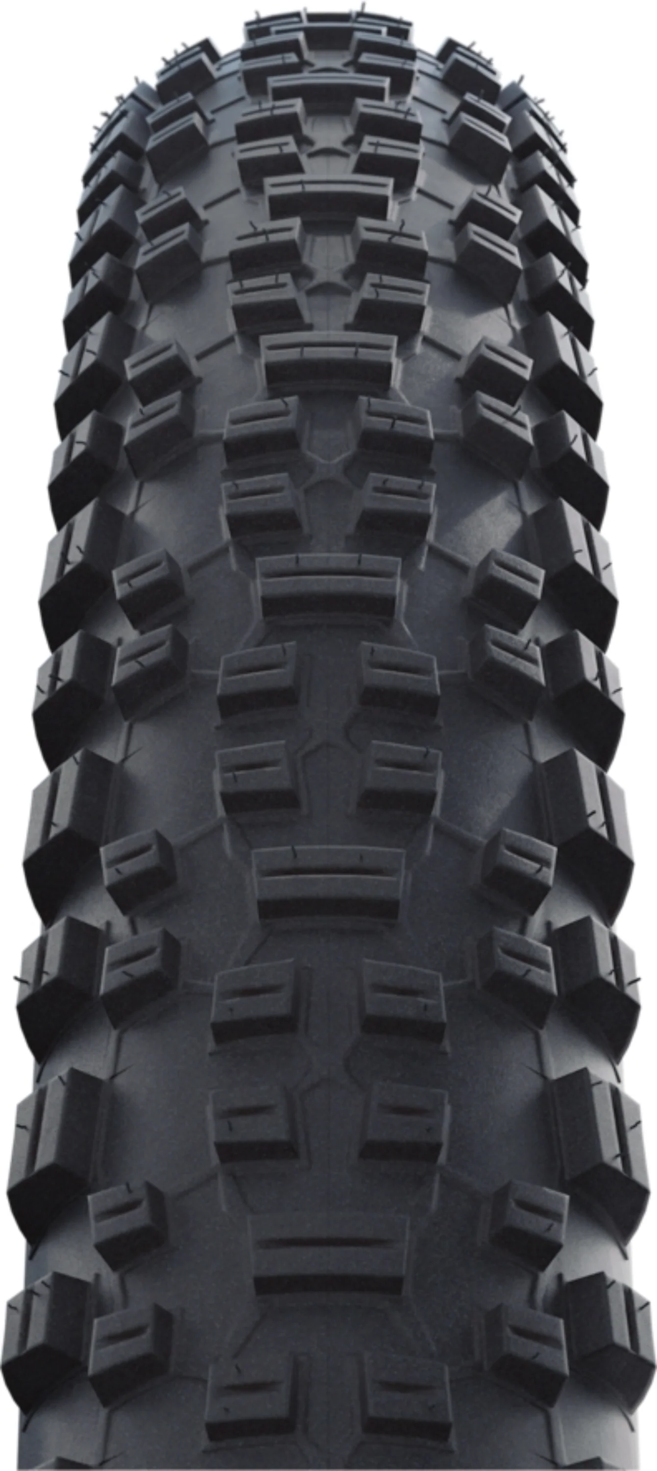 Schwalbe Rapid Rob | Active Line | K-Guard Black - Image 2